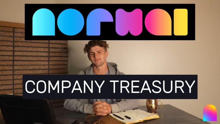 Introducing the Normal Company Treasury